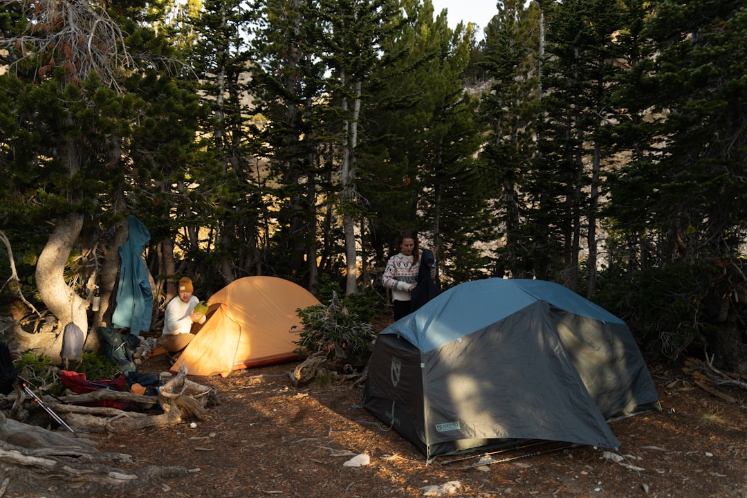 Onbezorgd vakantie vieren bij Capfun in Frankrijk